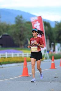 BIB: 
                            <button type="button" onclick="openModal(27893156)" class="btn btn-primary btn-sm float-right btn-popup" data-toggle="modal" data-target=".modal-high-quality">
                        <i class="fas fa-shopping-cart"></i> Add to Cart
                    </button>
                                            <button type="button" onclick="isThisMe(27893156, true)" class="btn btn-success btn-sm float-right btn-popup btn-isme hidden" data-toggle="tooltip" data-placement="bottom" title="นี่คือรูปของคุณใช่ไหม คลิกที่นี่เพื่อเอาเข้าอัลบั้ม">
                        <i class="fas fa-plus"></i> Add to album
                    </button>
                    <button type="button" onclick="isThisMe(27893156, false)" class="btn btn-warning btn-sm float-right btn-popup btn-isnotme hidden">
                        <i class="fas fa-ban"></i> Remove from album
                    </button>